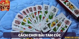 Giới thiệu đôi nét về bài Tam Cúc BumClub