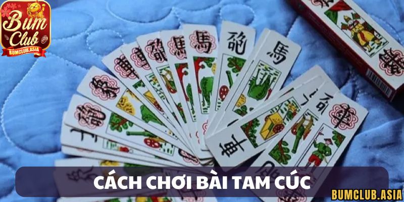 Giới thiệu đôi nét về bài Tam Cúc BumClub