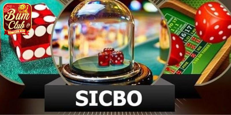 Khám phá trò chơi Sicbo Bumclub