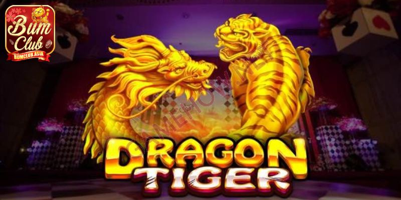 Những điều cần biết về trò chơi Rồng Hổ Bumclub