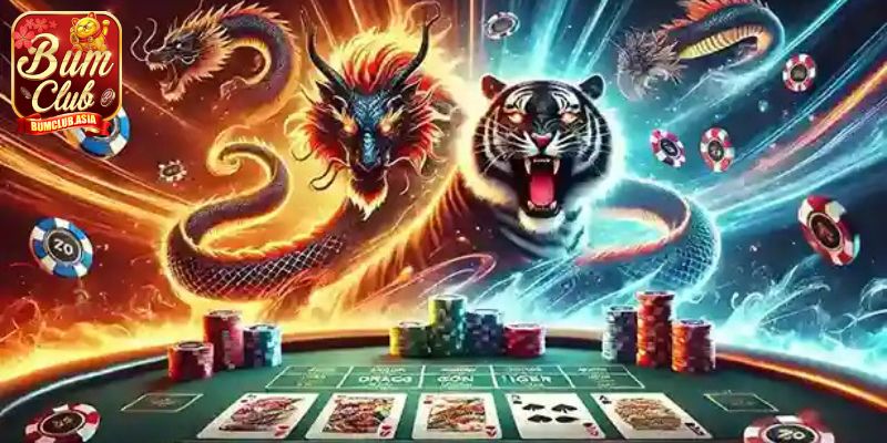 Tại sao bạn nên trải nghiệm Rồng Hổ Bumclub