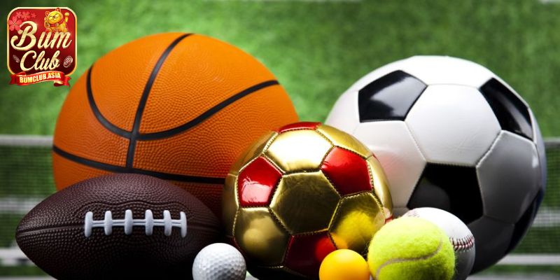 Những lý do bạn nên tham gia giải trí